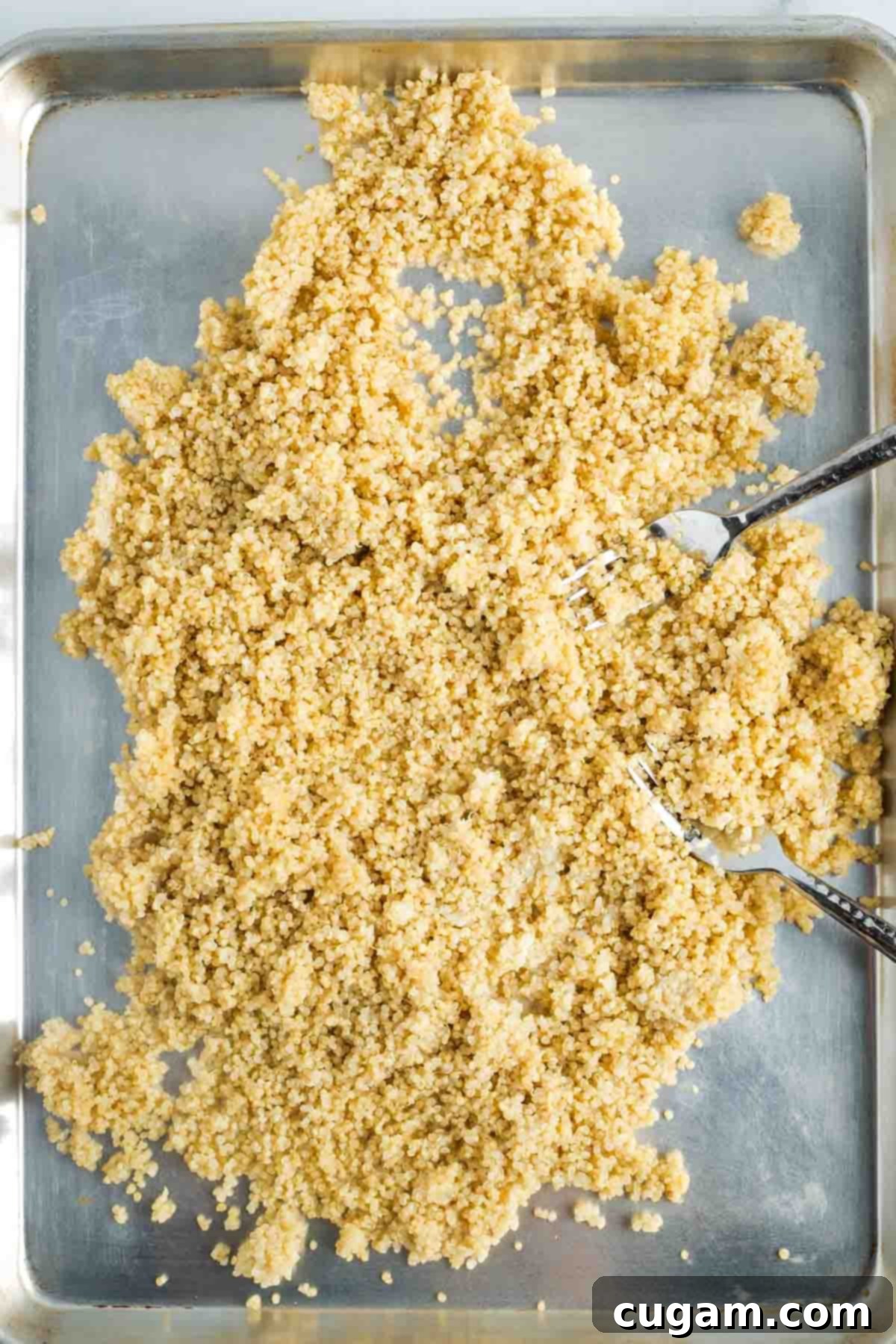 2 forks spreading cooked quinoa out onto a baking sheet.