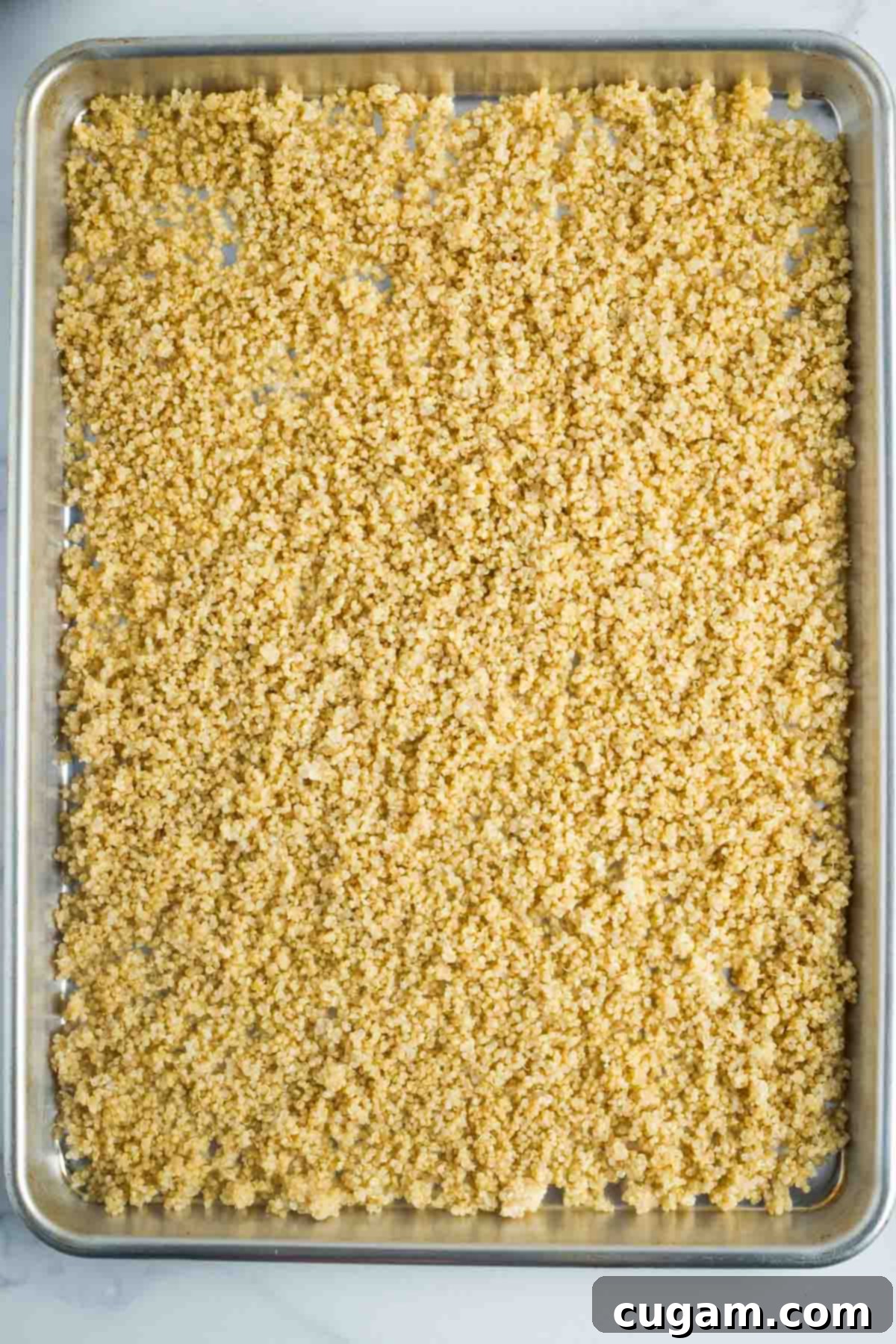 Large rimmed baking sheet covered in cooked quinoa.