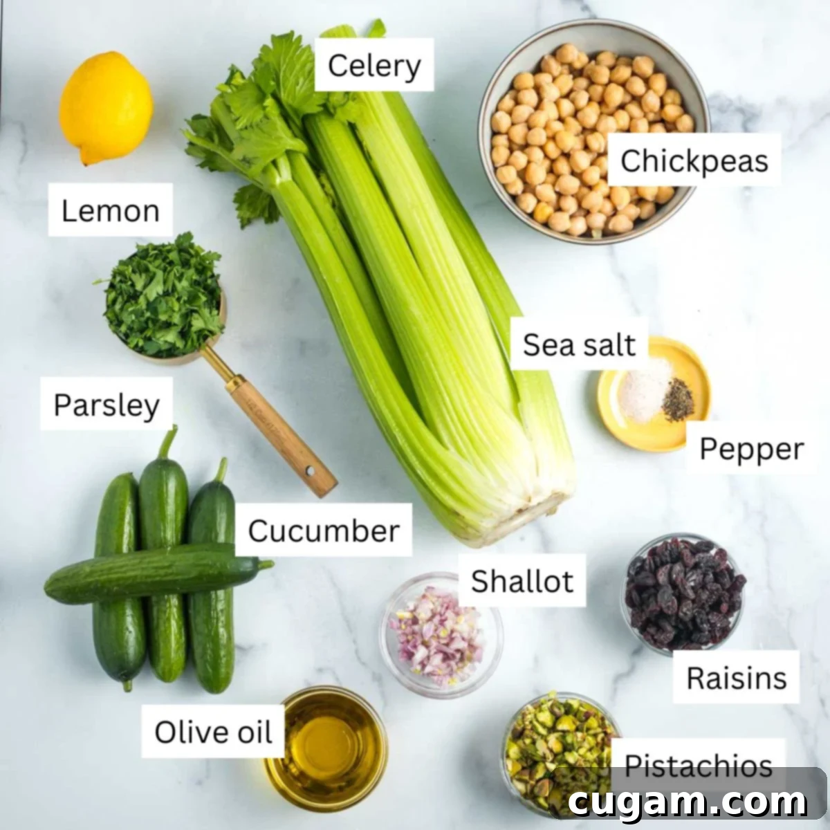 Labeled ingredients: lemon, chickpeas, celery, parsley, cucumber, olive oil, shallot, pistachios, raisins.