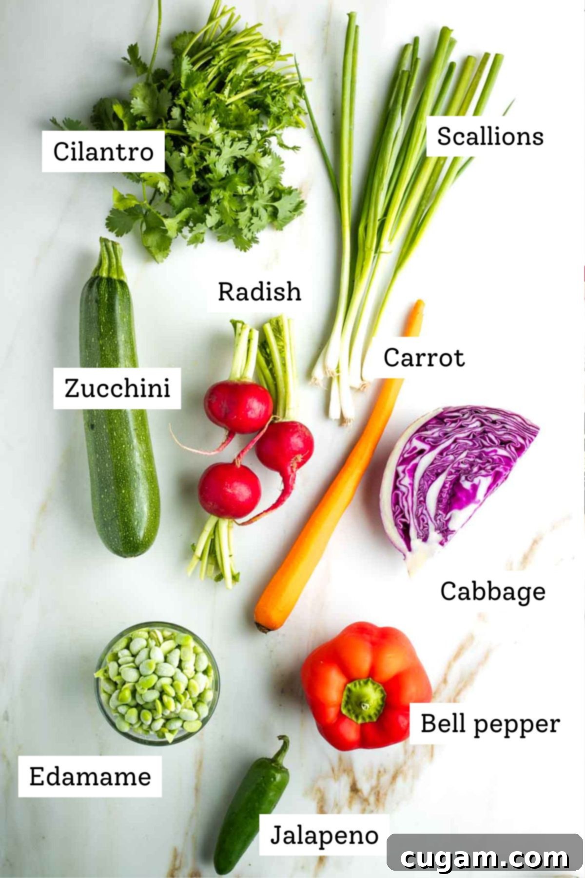 Labeled raw ingredients: cilantro, scallion, zucchini, radish, cabbage, carrot, bell pepper, jalapeno and shelled edamame beans.