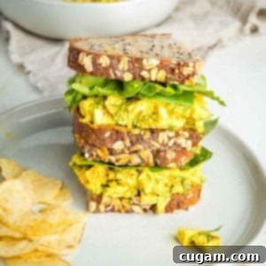 Tofu egg salad on sourdough, stacked with green lettuce in between and chips on the side.