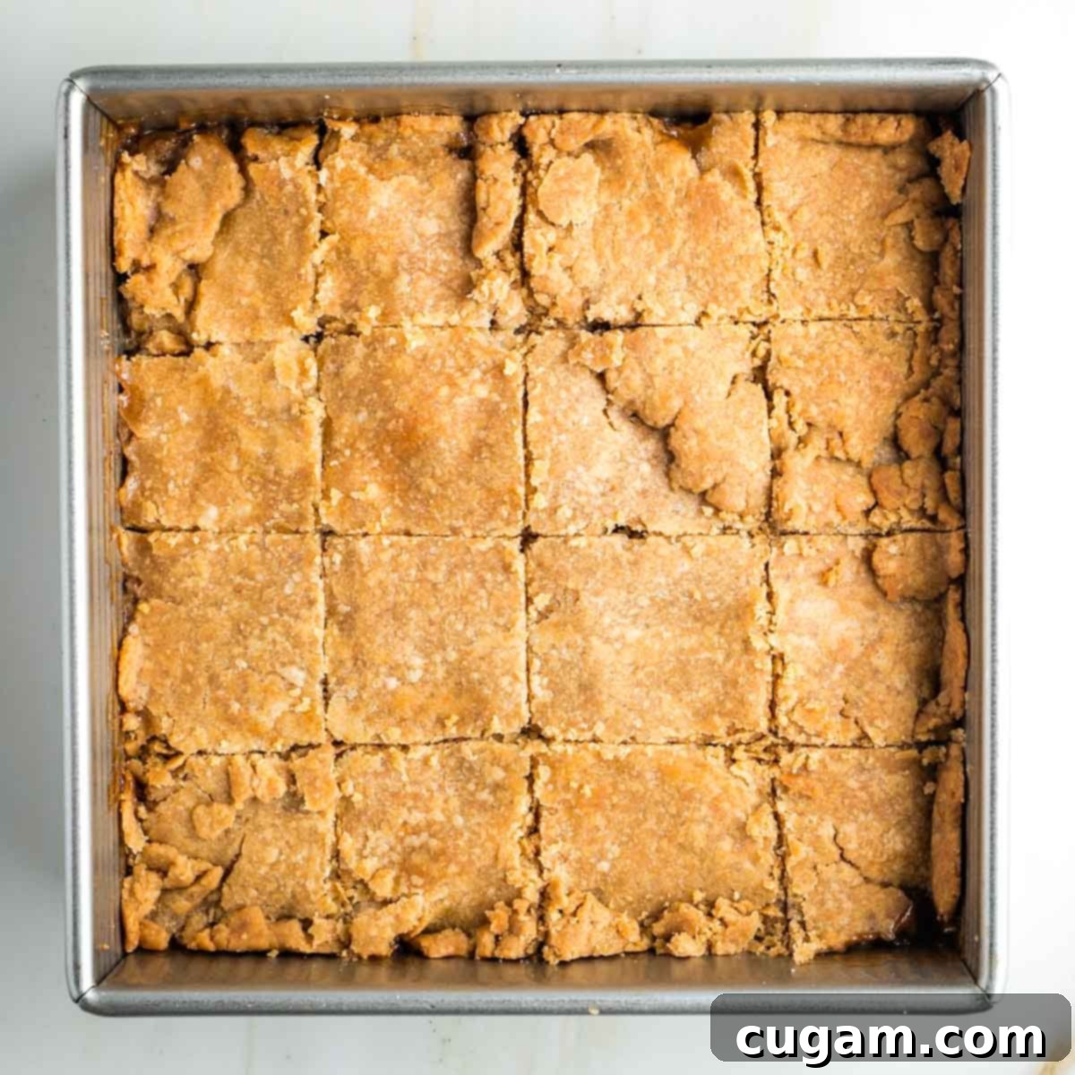 Square pan of apple pie bars with top dough, cut into neat squares, ready for serving.