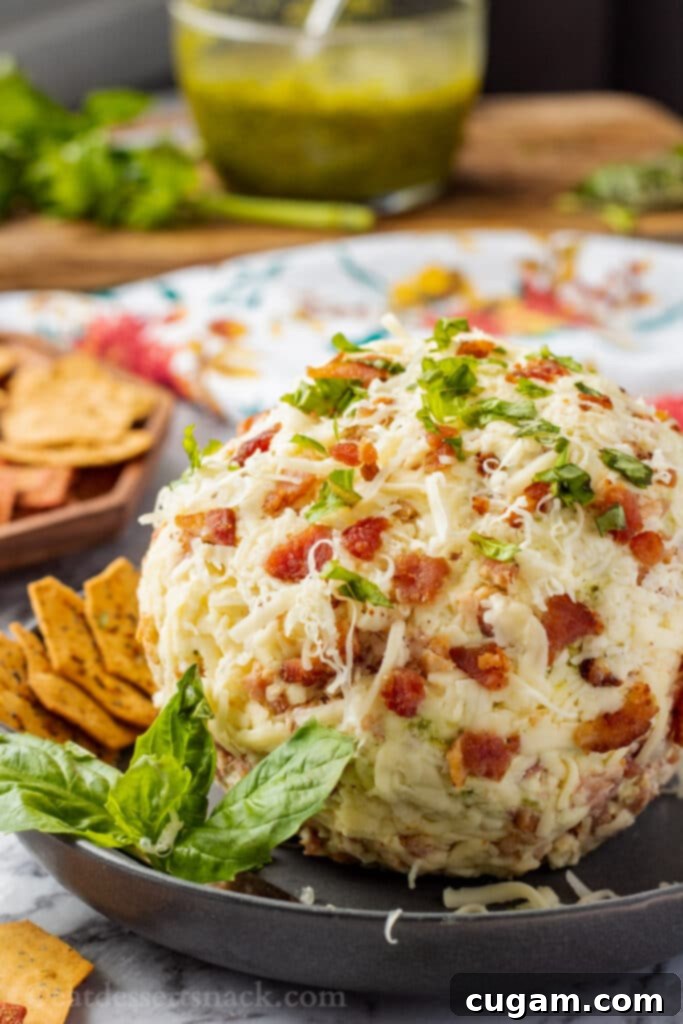Bacon Pesto Cheeseball on black plate with basil and crackers. 