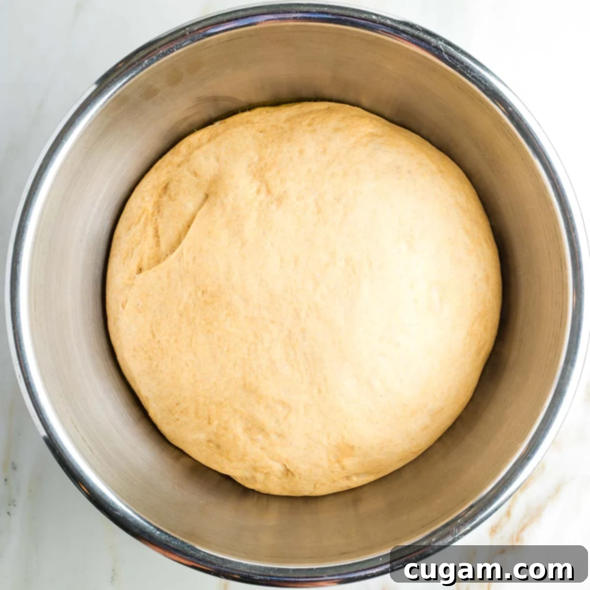 Golden Sweet Round Challah 20 Large ball of risen dough in a metal bowl.