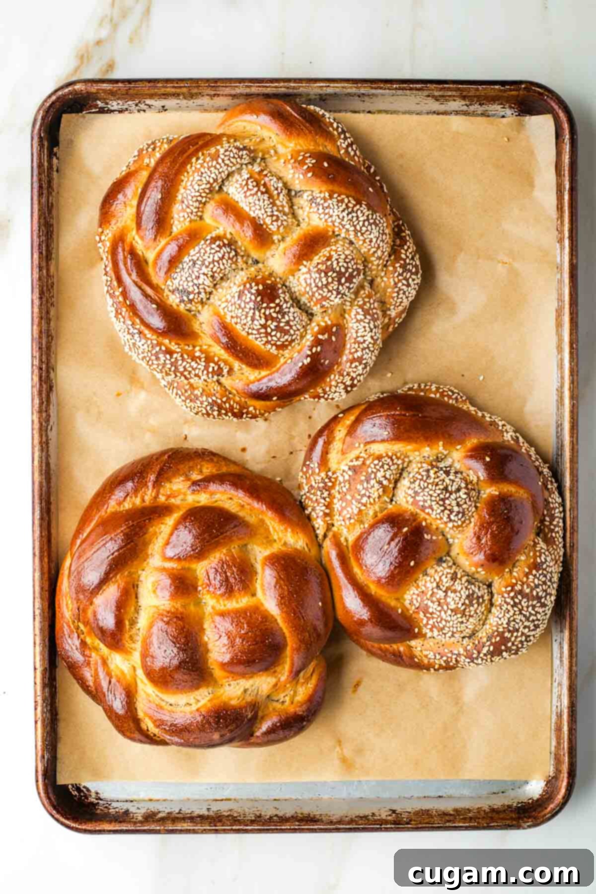 Golden Sweet Round Challah 42 Golden brown, round loaves of braided challah bread.