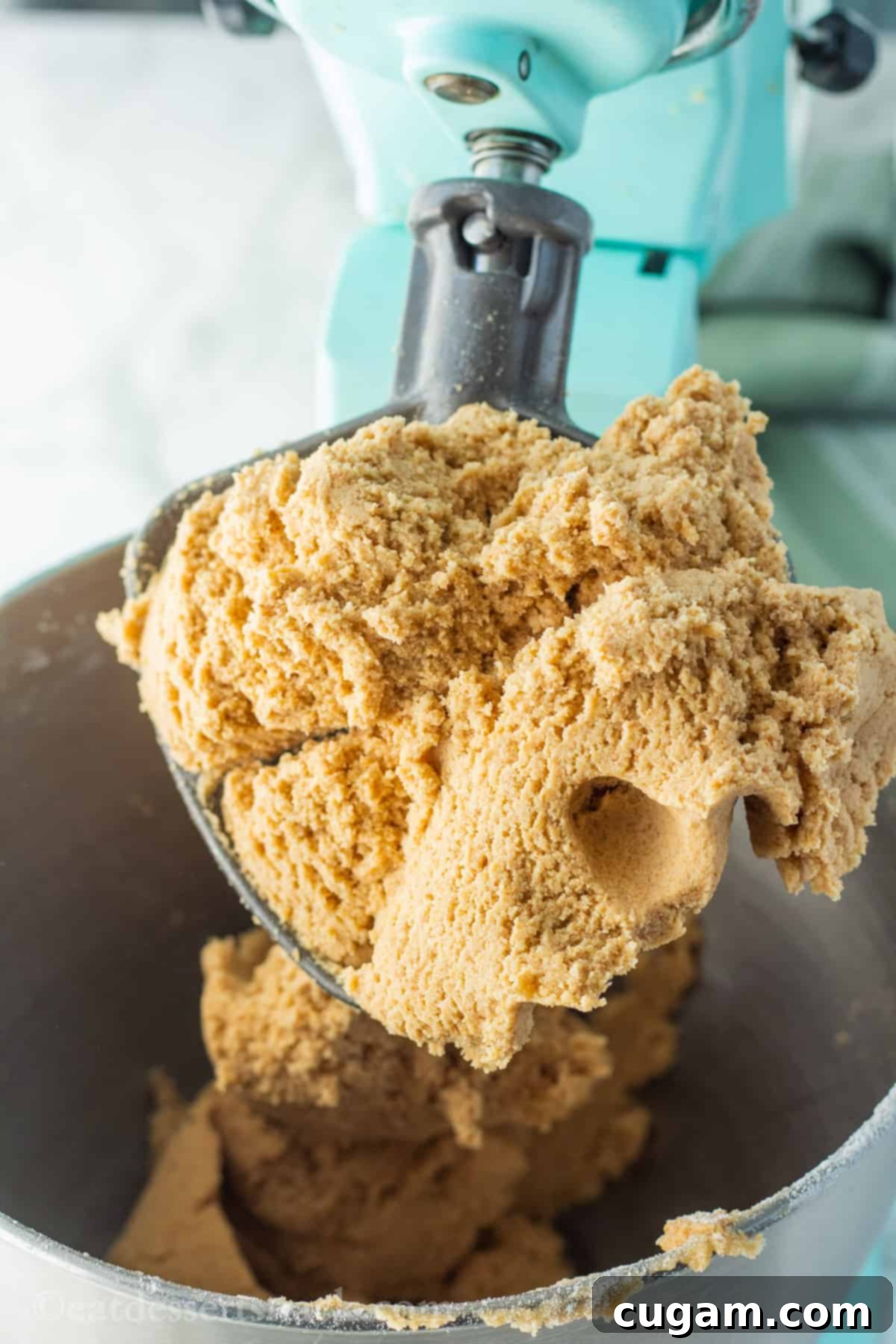 Raw graham cracker dough on electric mixer paddle. 