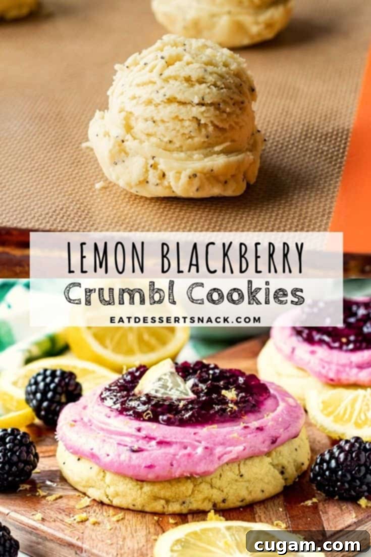 Lemon Blackberry Cookies with frosting and jam on a white background with fresh lemons and blackberries.