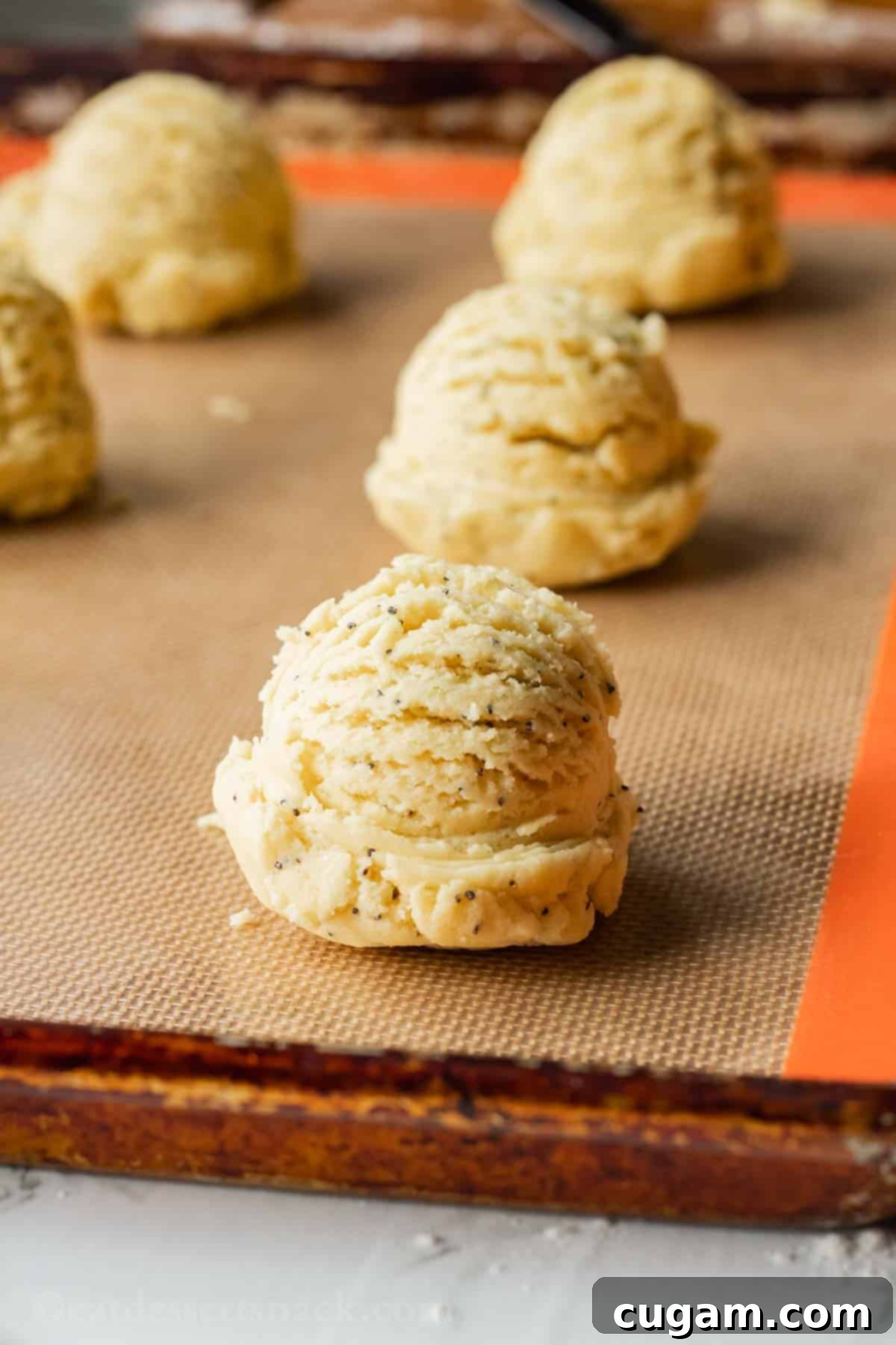 Raw lemon poppyseed cookie dough balls on baking sheet. 