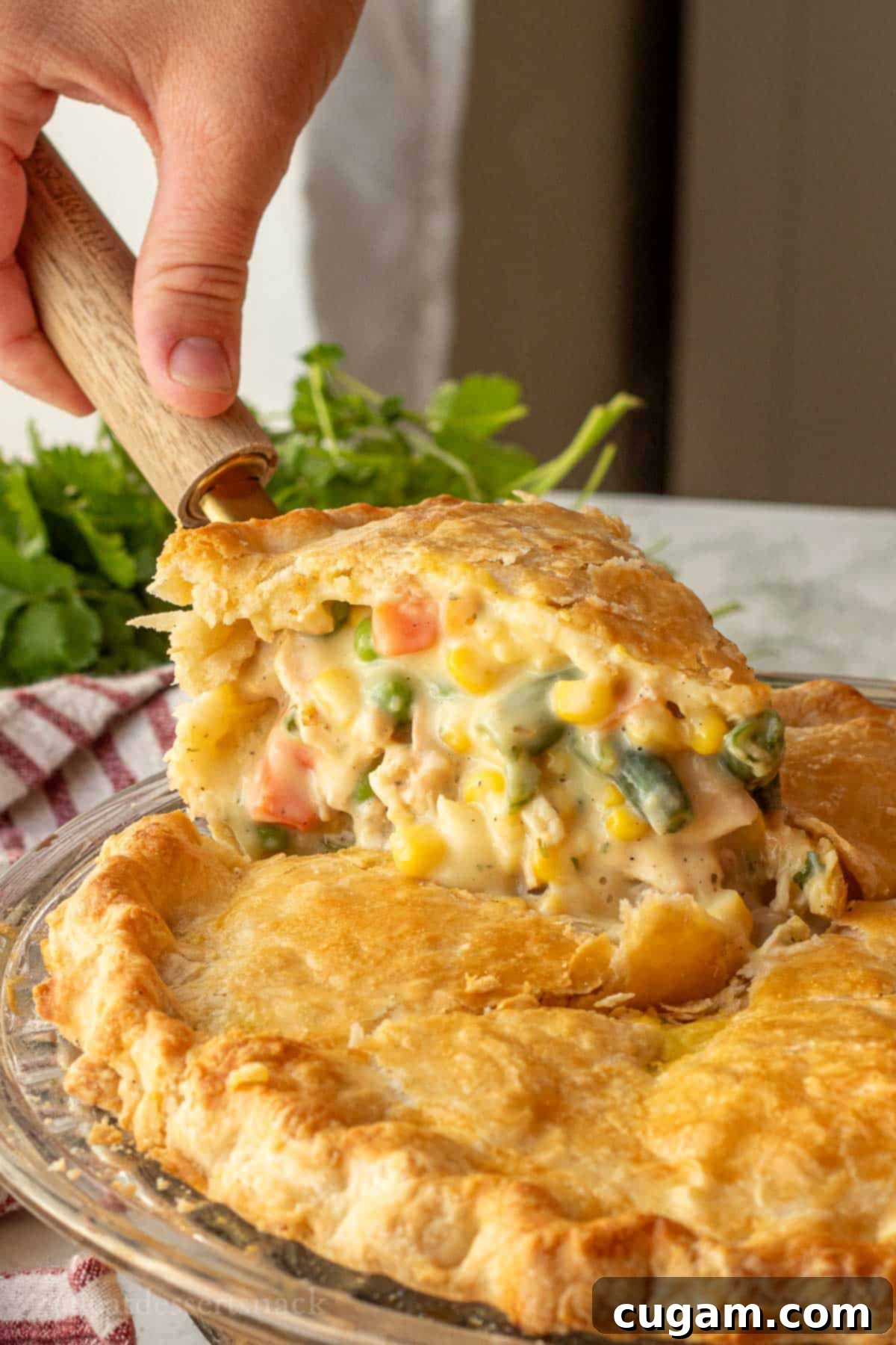 Quick Chicken Pot Pie 2 Slice of veggie chicken pot pie on spatula above pie pan.