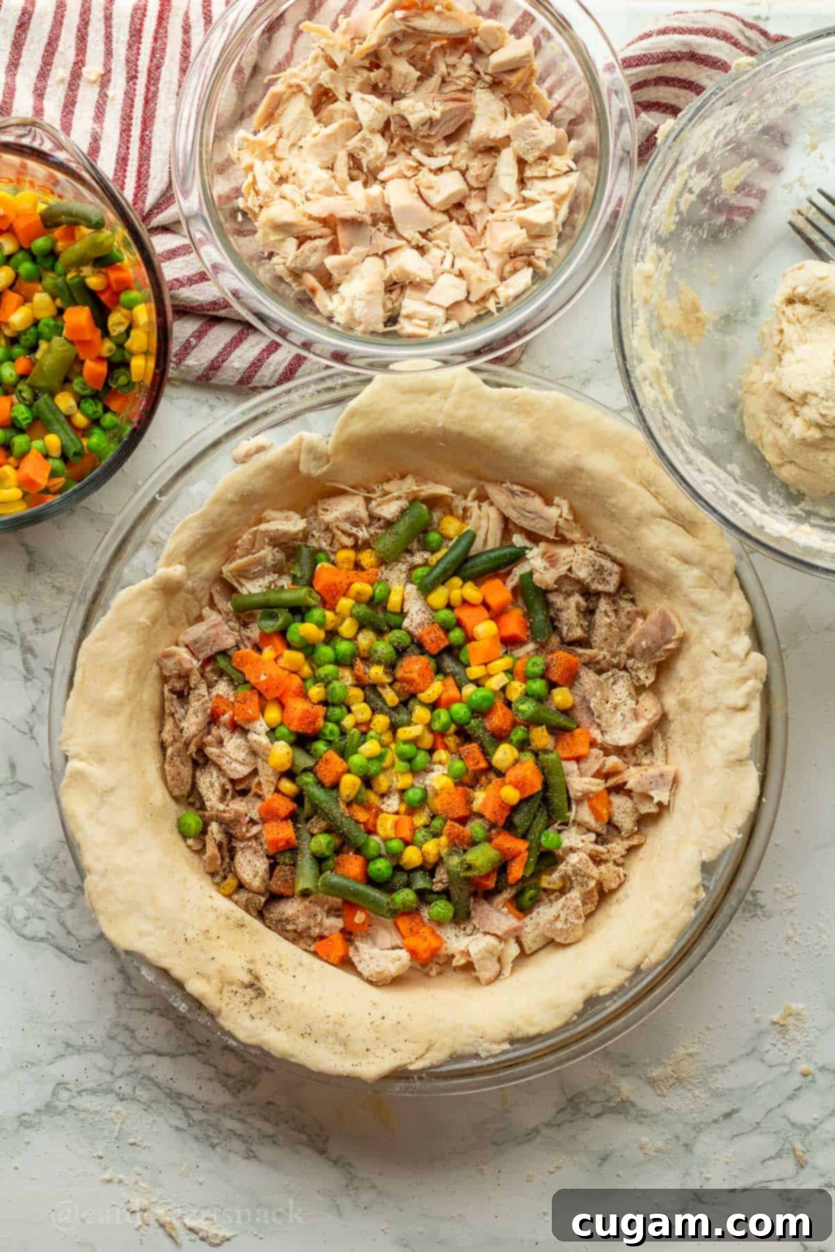 Quick Chicken Pot Pie 7 Veggies and chicken in raw pie crust.