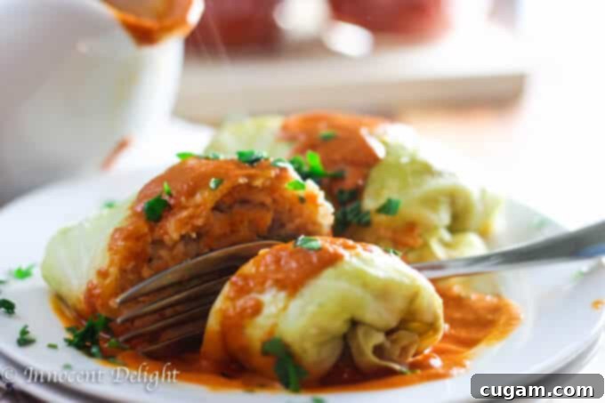 Skinny Stuffed Cabbage Rolls