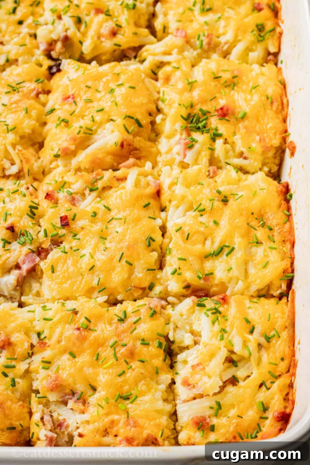 Sliced and baked ham and cheese casserole in white baking dish.