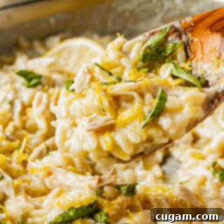 Wooden spoon of cooked orzo pasta with finished creamy lemon sauce.