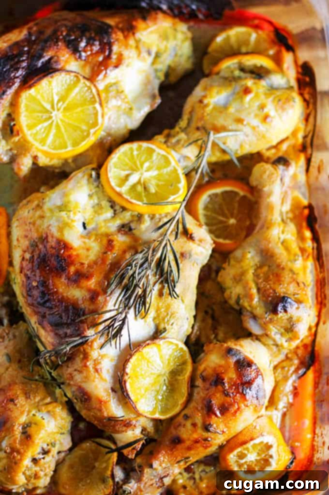 Dijon Chicken with Meyer Lemons and fresh rosemary in a baking dish, perfectly roasted and golden