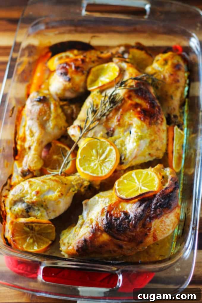 Meyer Lemon and Dijon Mustard Chicken with fresh rosemary, baking to perfection in a glass dish, golden and bubbling