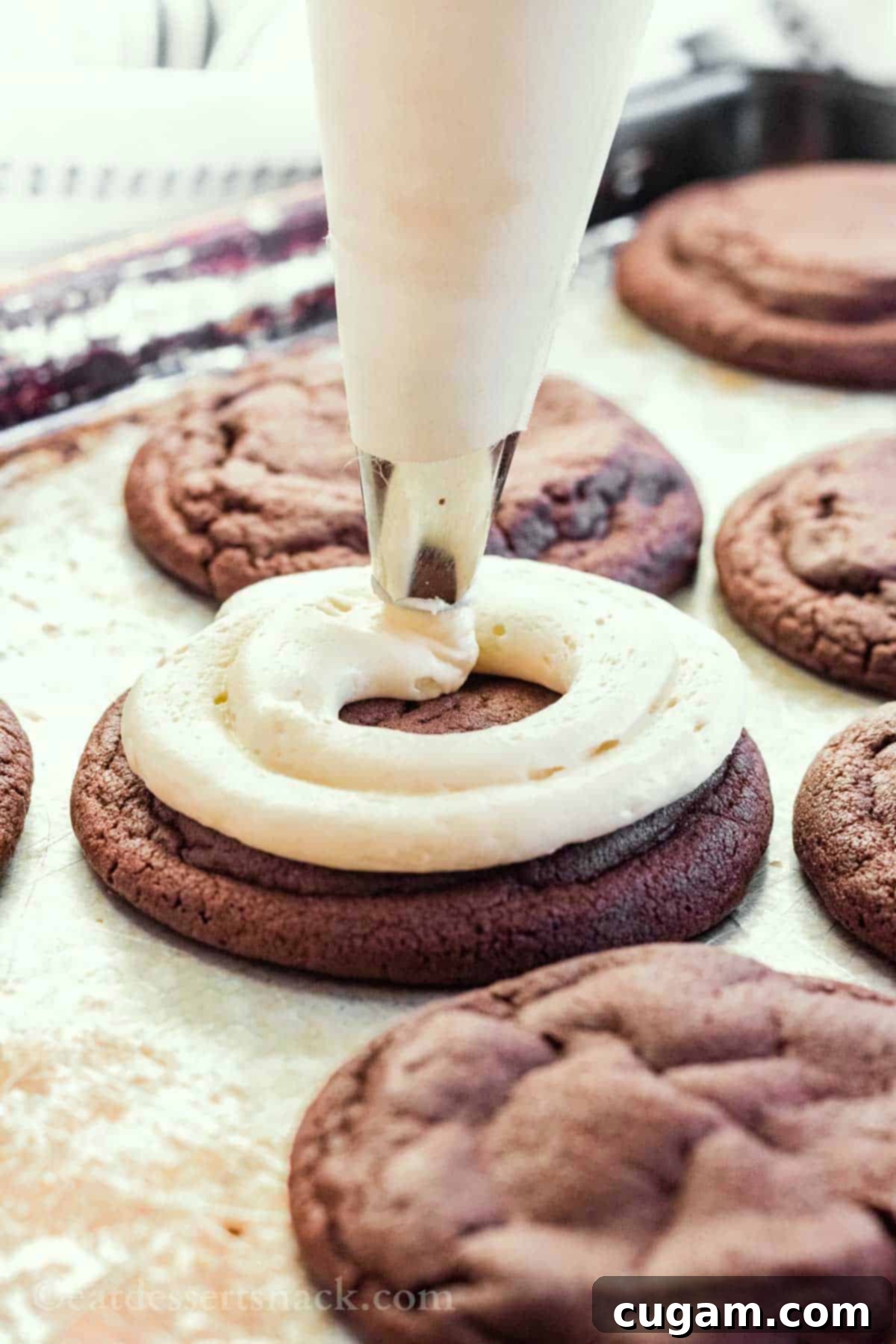 Piping white cheesecake frosting onto a baked chocolate cookie.