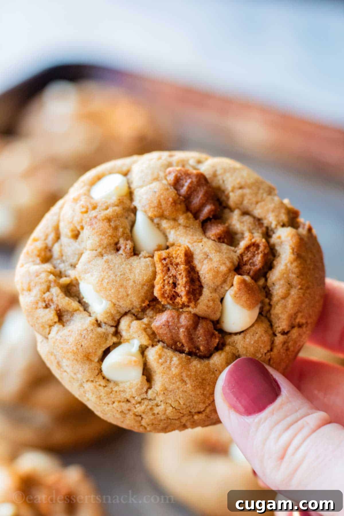 Hand holding a freshly baked white chocolate biscoff cookie, showcasing its golden edges and melty white chocolate chips.