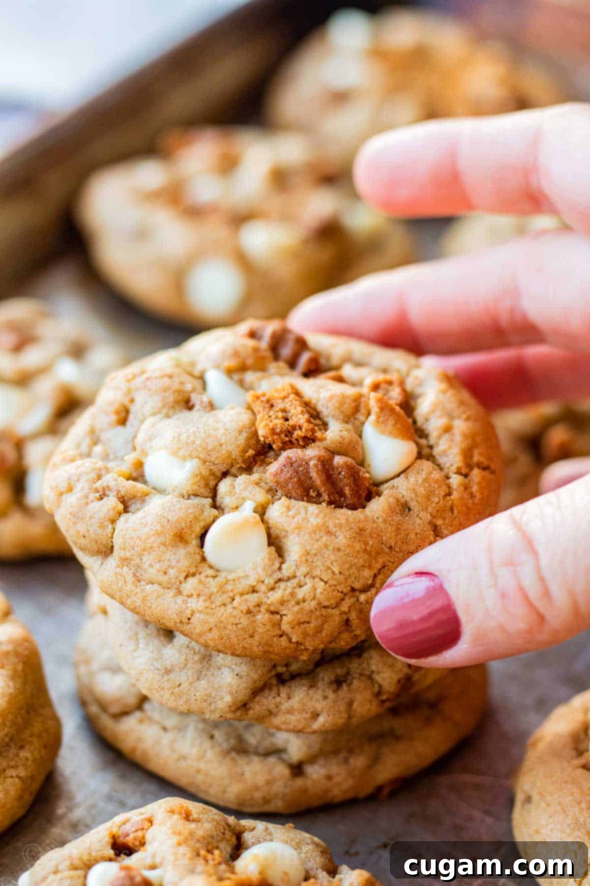 A stack of 3 freshly baked white chocolate biscoff cookies rests on a metal baking sheet, ready to be enjoyed.