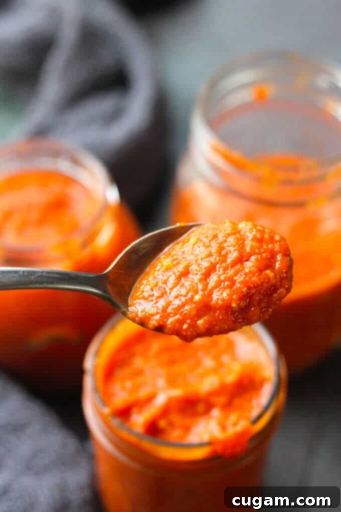 Spanish Romesco Sauce on a spoon 