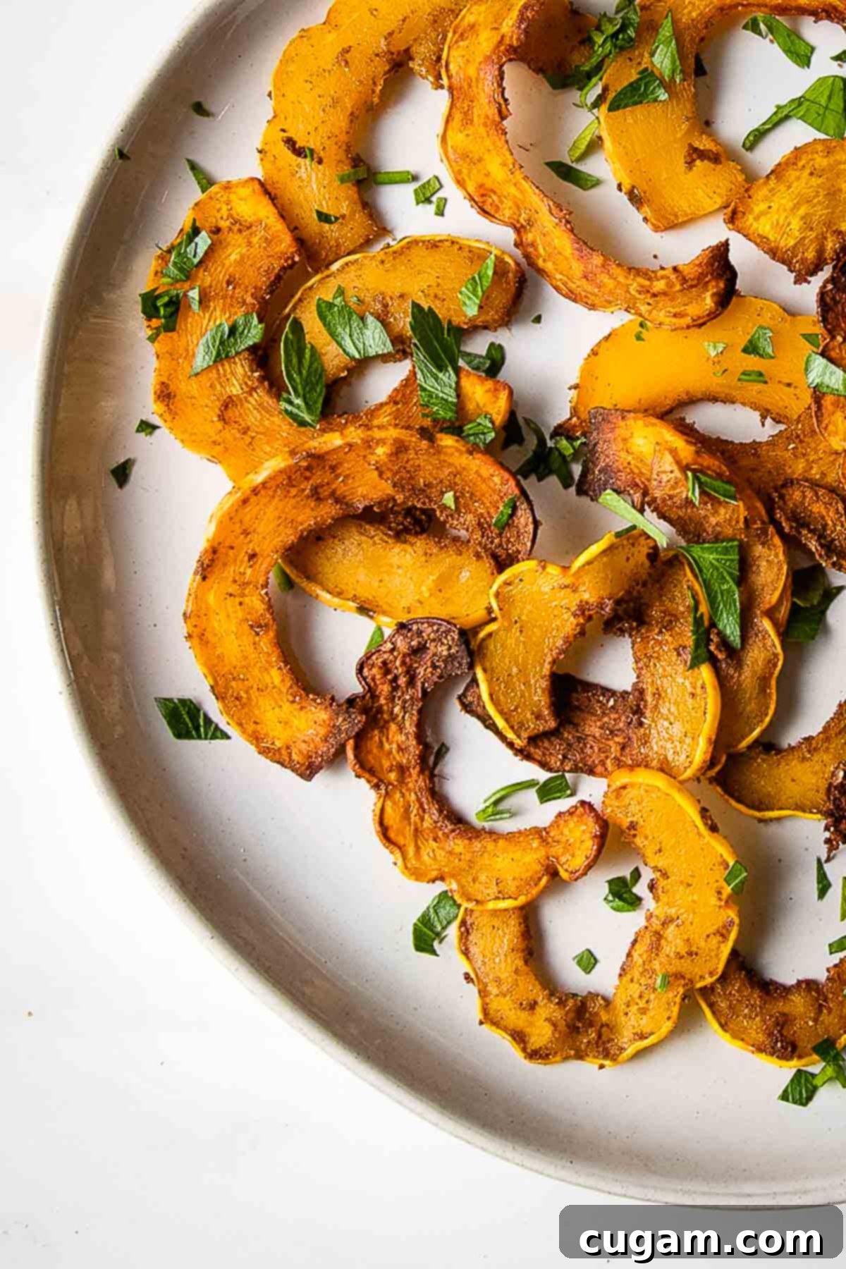 Half moon shaped roasted delicata squash with spices on a white plate, garnished with fresh herbs.