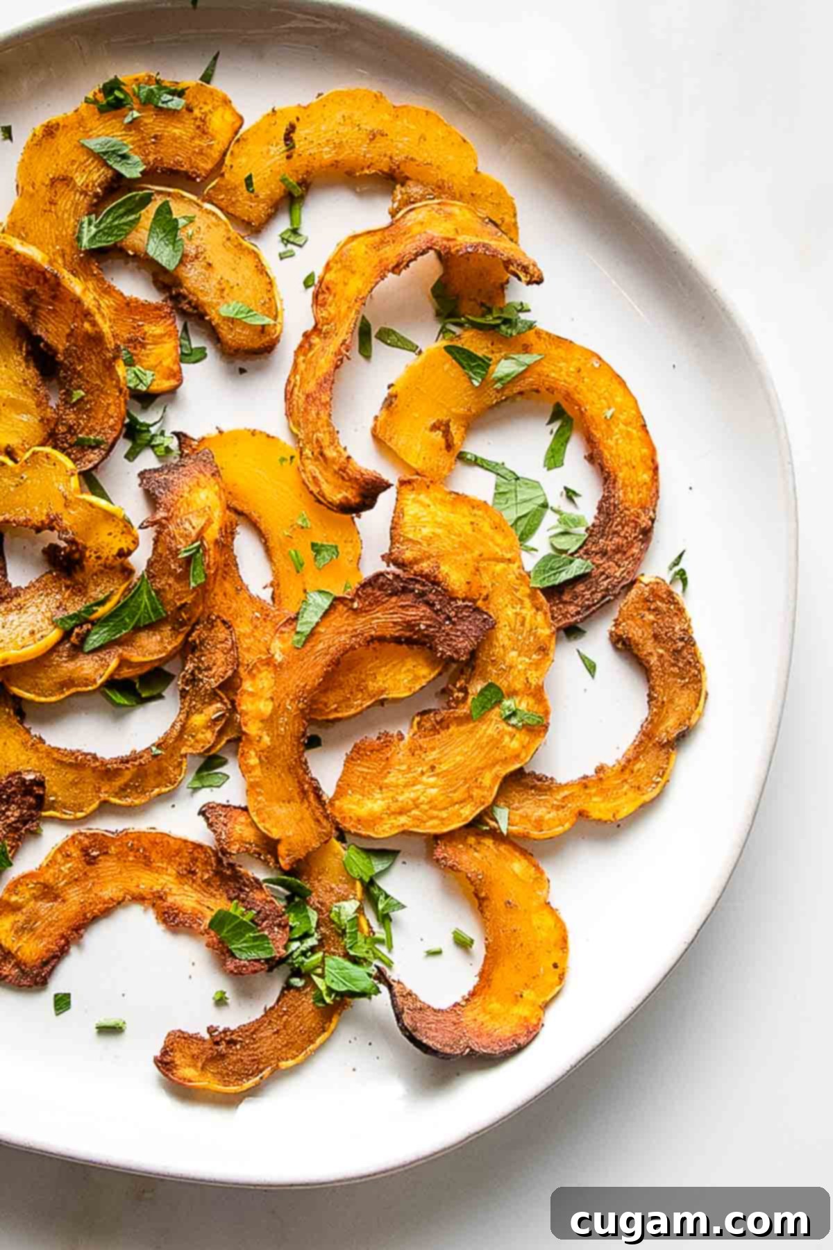 Roasted delicata squash in thin slices with spices and fresh herbs, ready to serve.