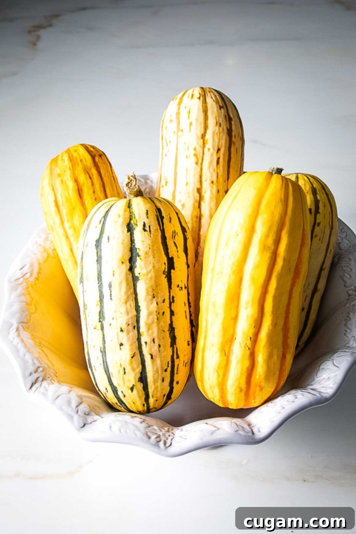 Bowl of different colors and sizes of delicata squash, highlighting their distinctive stripes.