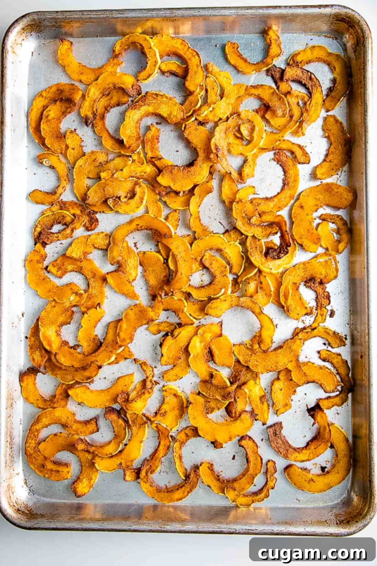 Roasted and spiced delicata squash half moons on a baking tray, golden brown and tender.
