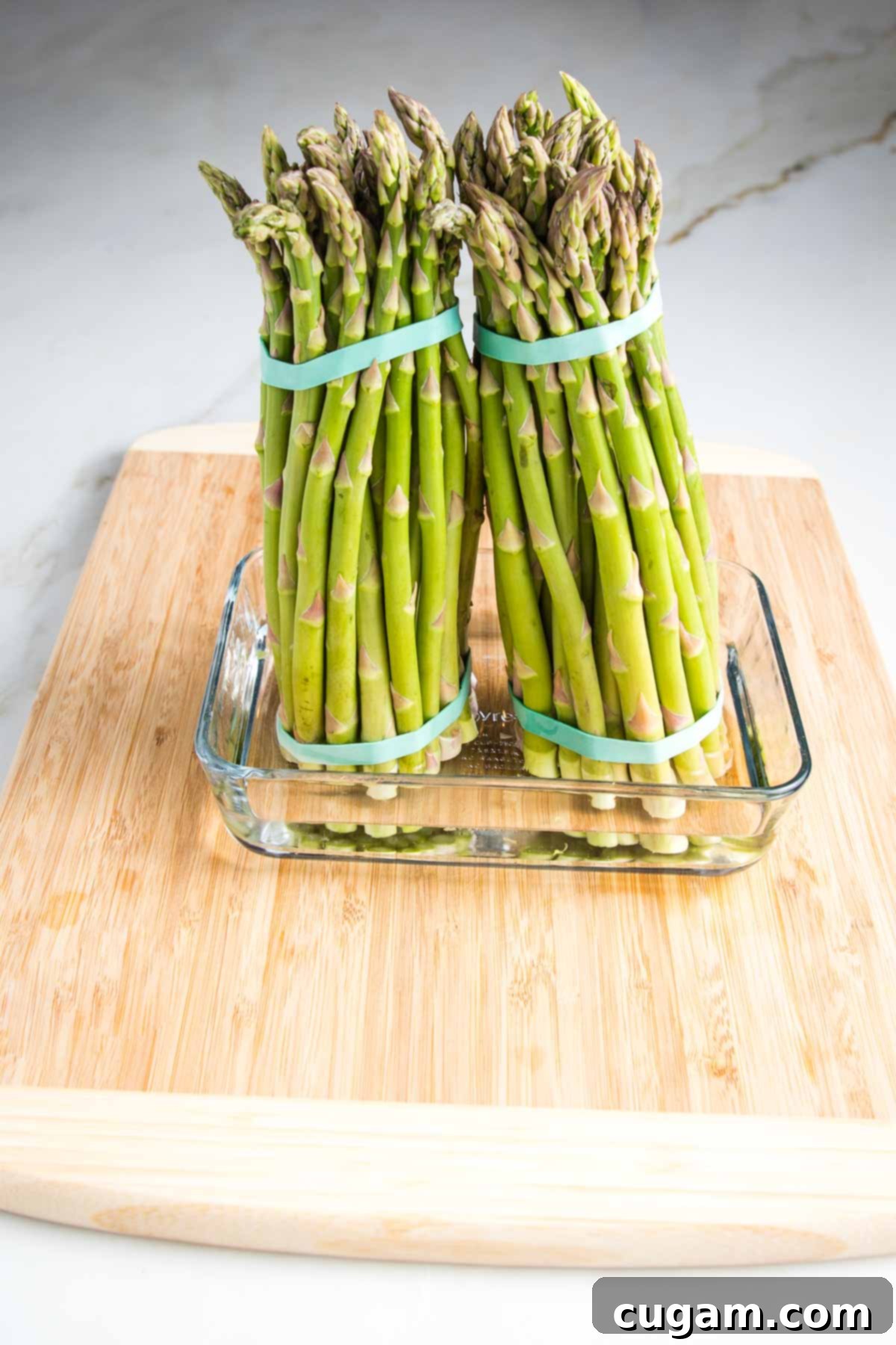 Two bunches of asparagus stand upright in a clear glass dish containing about an inch of water, with their rubber bands still intact, ready for refrigeration.