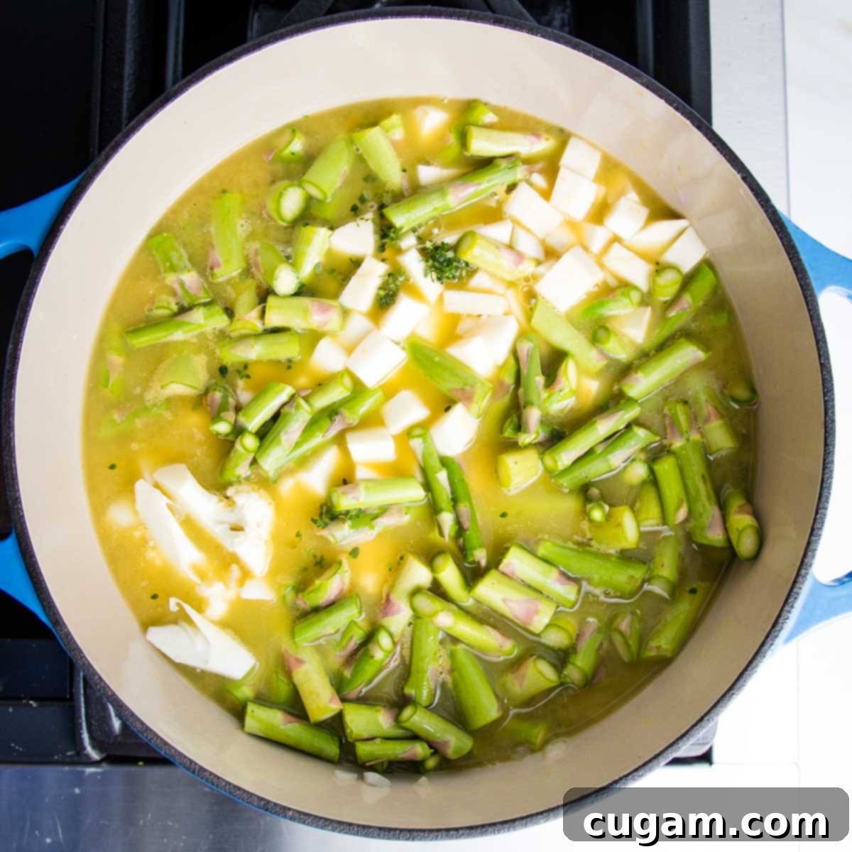 A Dutch oven filled with a colorful medley of chopped parsnips, cauliflower florets, asparagus pieces (excluding tips), and sautéed onions and celery. The ingredients are covered with vegetable broth, ready for simmering.
