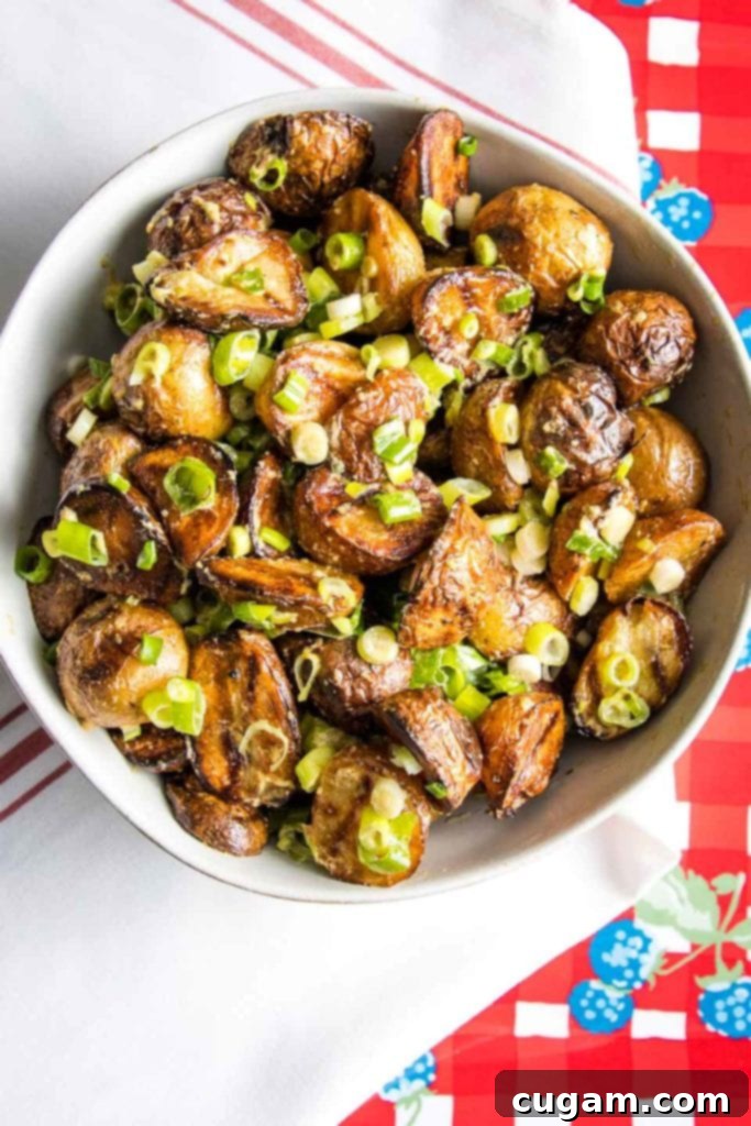 A beautifully presented bowl of grilled potato salad, generously sprinkled with fresh green scallions, invitingly ready to be served.