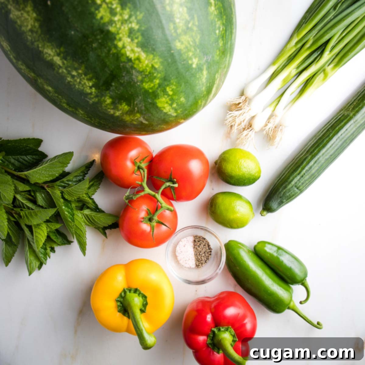 Ingredients for watermelon gazpacho: watermelon, fresh mint, scallions, cucumber, fresh tomatoes, limes, red and yellow bell peppers, jalapenos, salt and pepper.