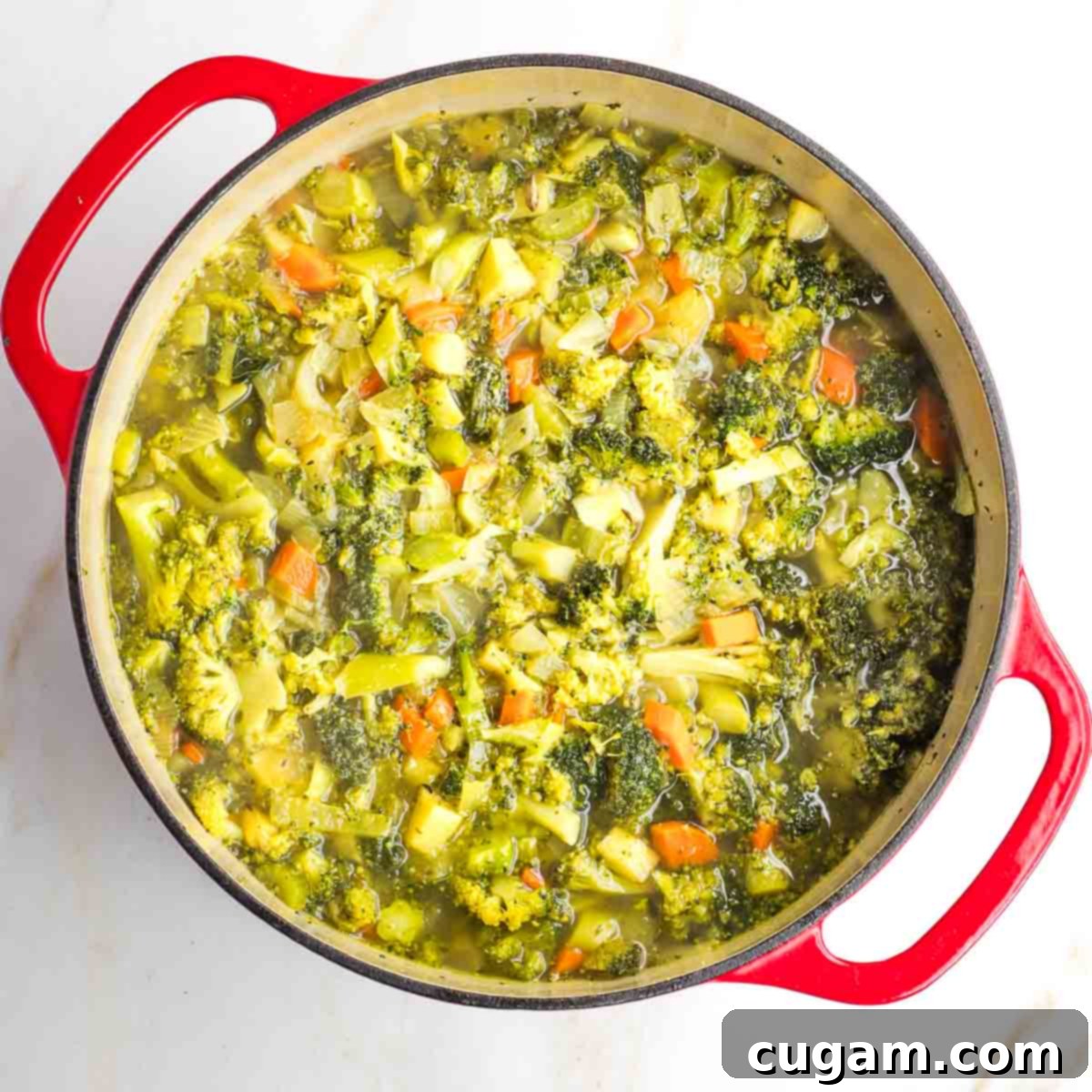 Chunks of broccoli, carrots, parsnips and onions in a vegetable broth. 