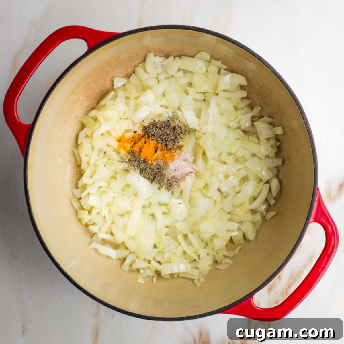 Dutch oven with sauteed onions plus spices.