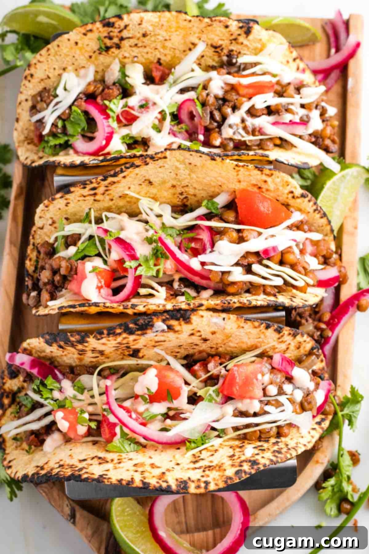 Three perfectly assembled vegan lentil tacos lined up, topped with a flavorful mix of seasoned lentils, tangy pickled red onions, crisp shredded cabbage, fresh diced tomatoes, and a drizzle of creamy orange sauce.