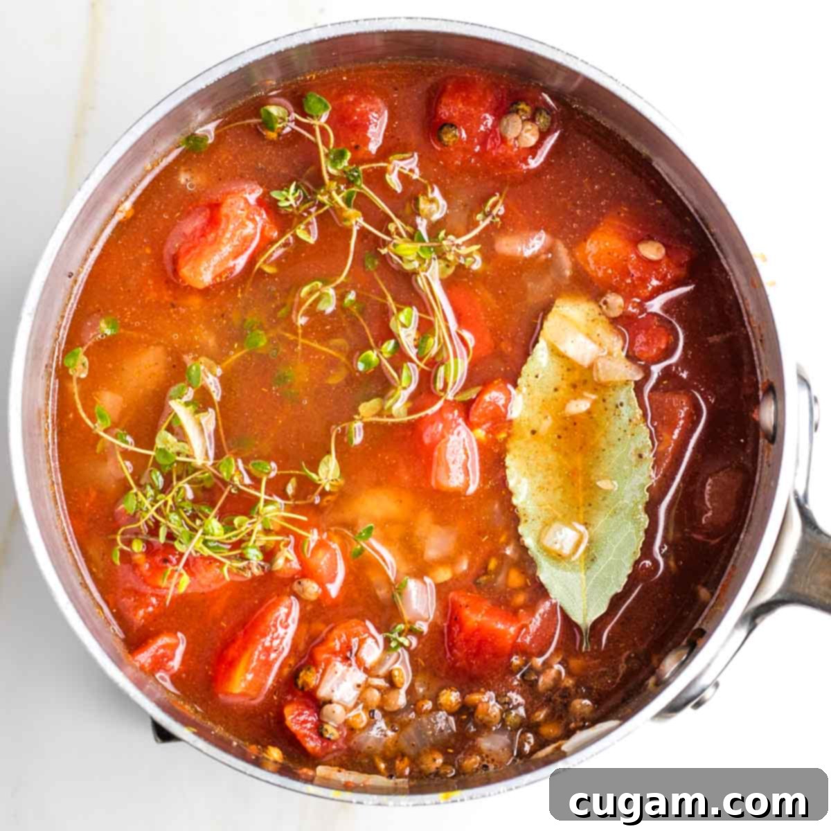 Diced tomatoes, water, fresh thyme sprigs, and a bay leaf added to the spiced lentil mixture in the saucepan.