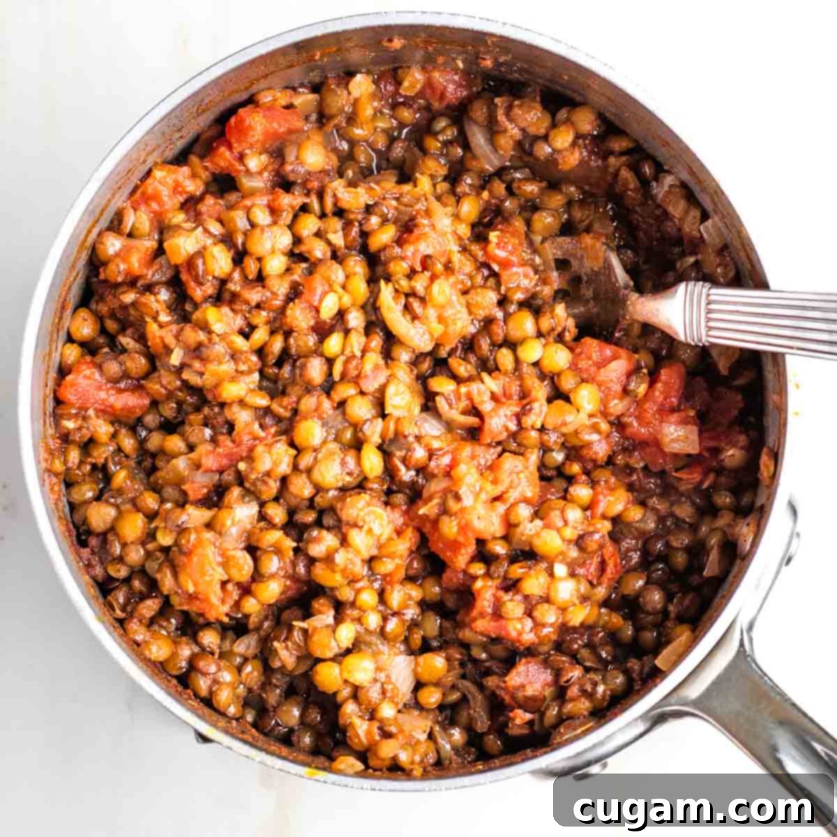 Cooked lentil taco filling being fluffed with a fork after removing herb stems and bay leaf.