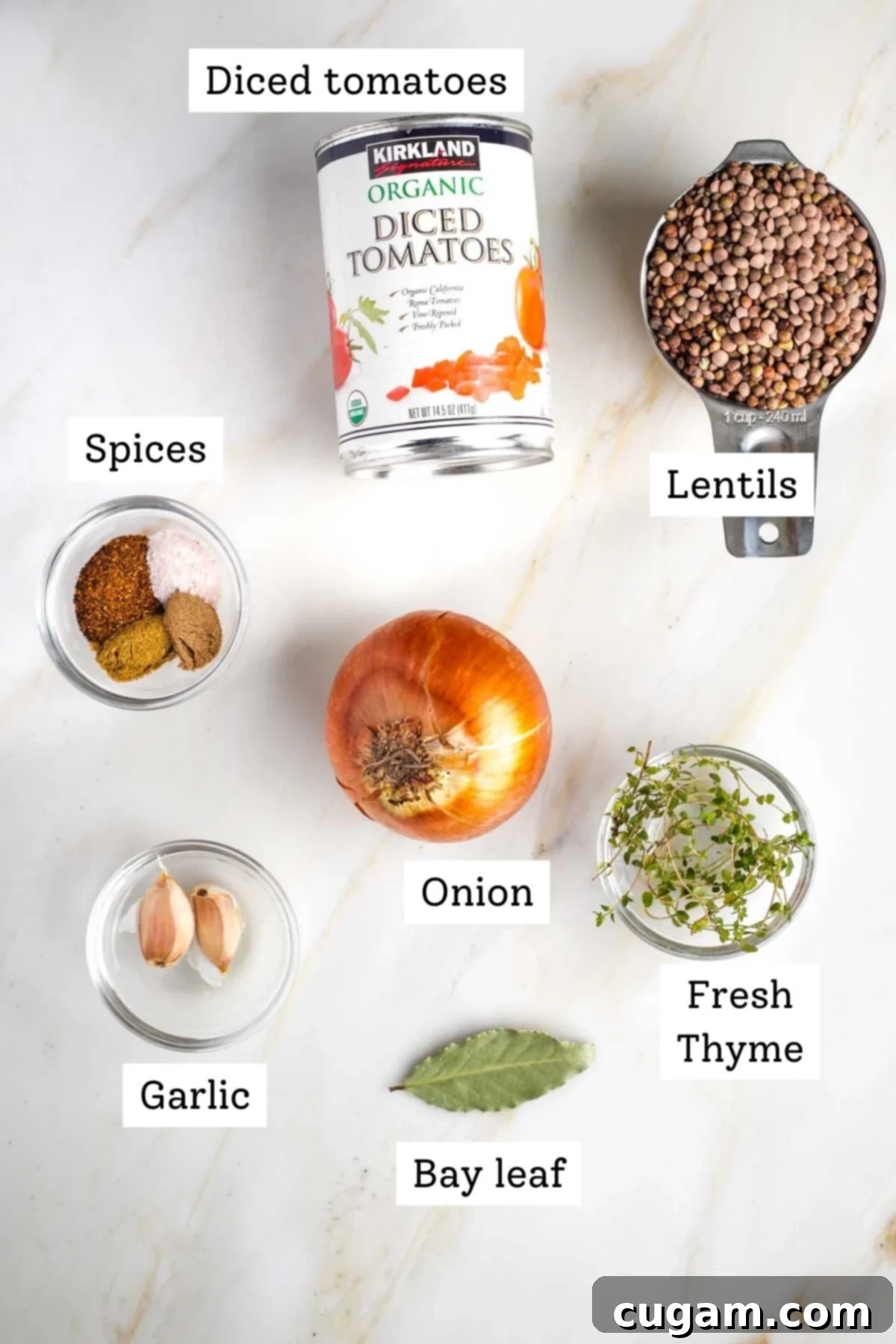Labeled ingredients for lentil tacos: canned tomatoes, lentils, onion, garlic, fresh herbs and spices.