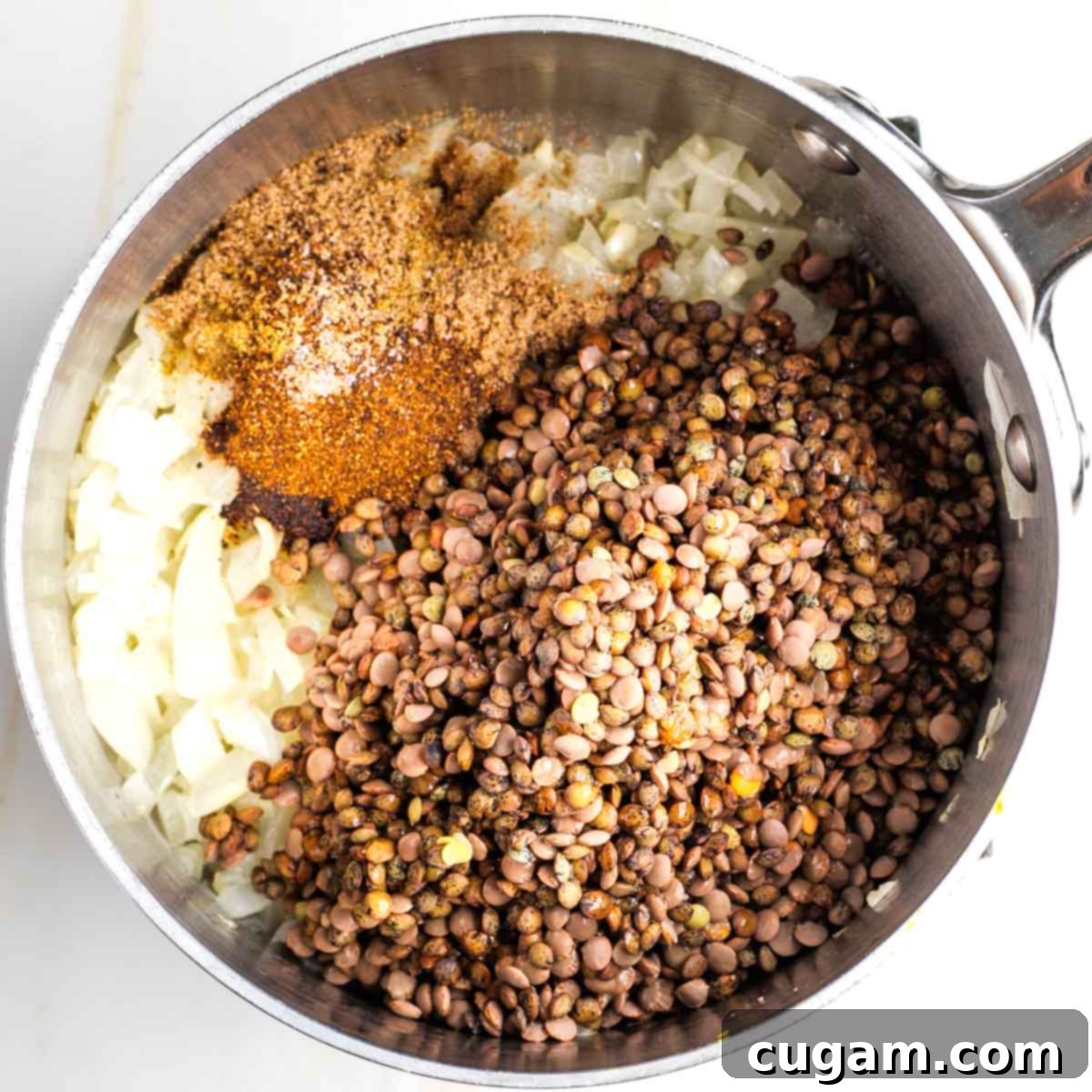Rinsed lentils, cumin, coriander, chili powder, and salt added to the sautéed onion and garlic mixture in a saucepan.