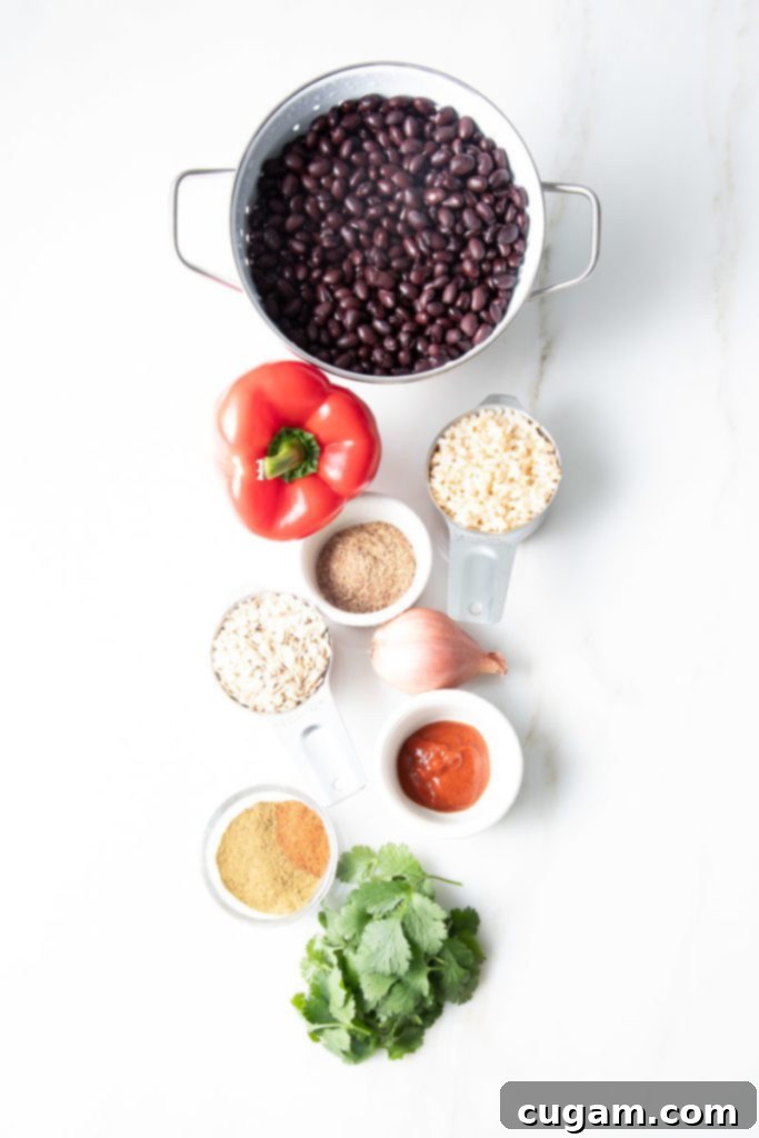 Black beans, red pepper, rice, oatmeal, cilantro, flax, shallot, sriracha, spices
