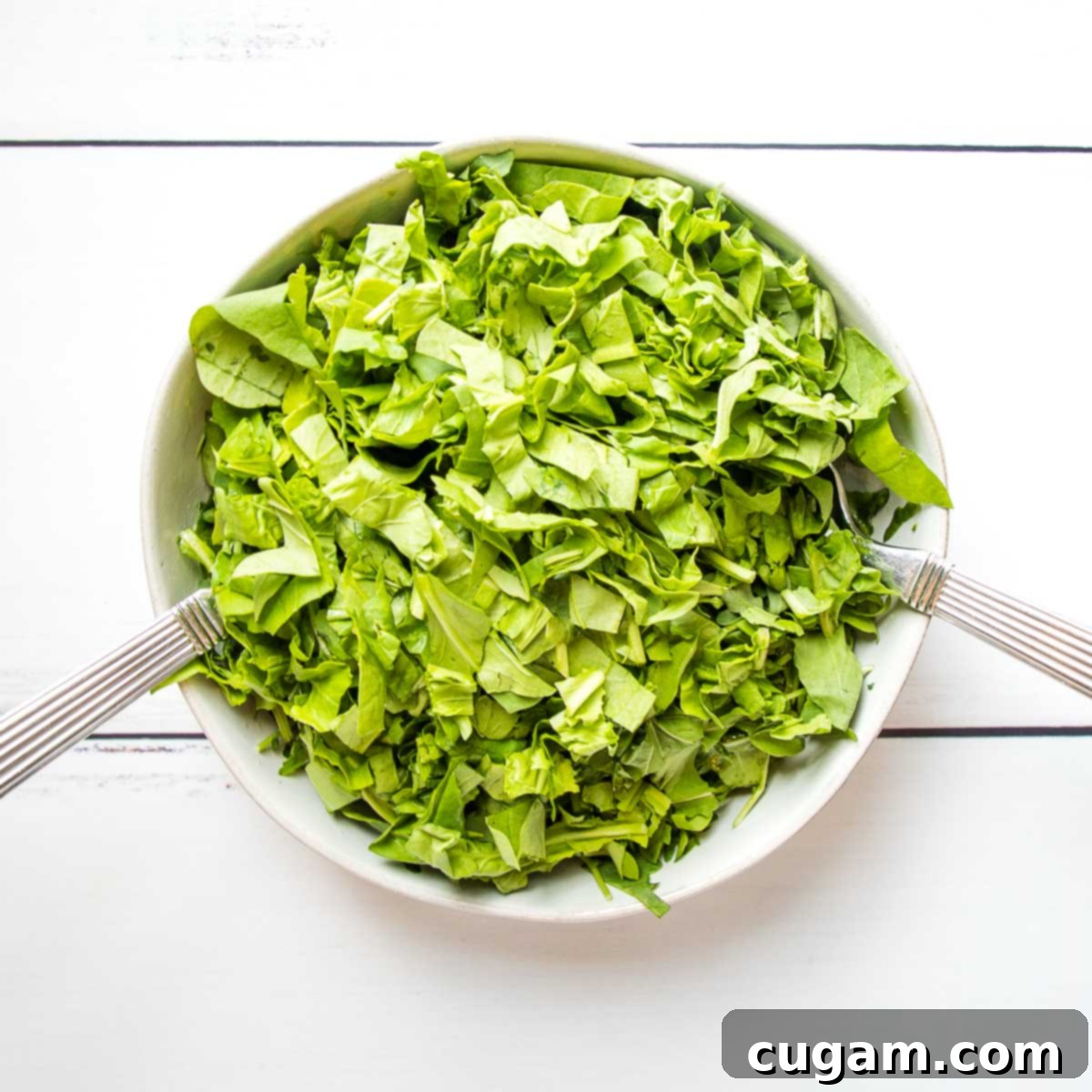 Freshly washed arugula leaves in a large white bowl, ready to be dressed with silver salad tossers nearby.