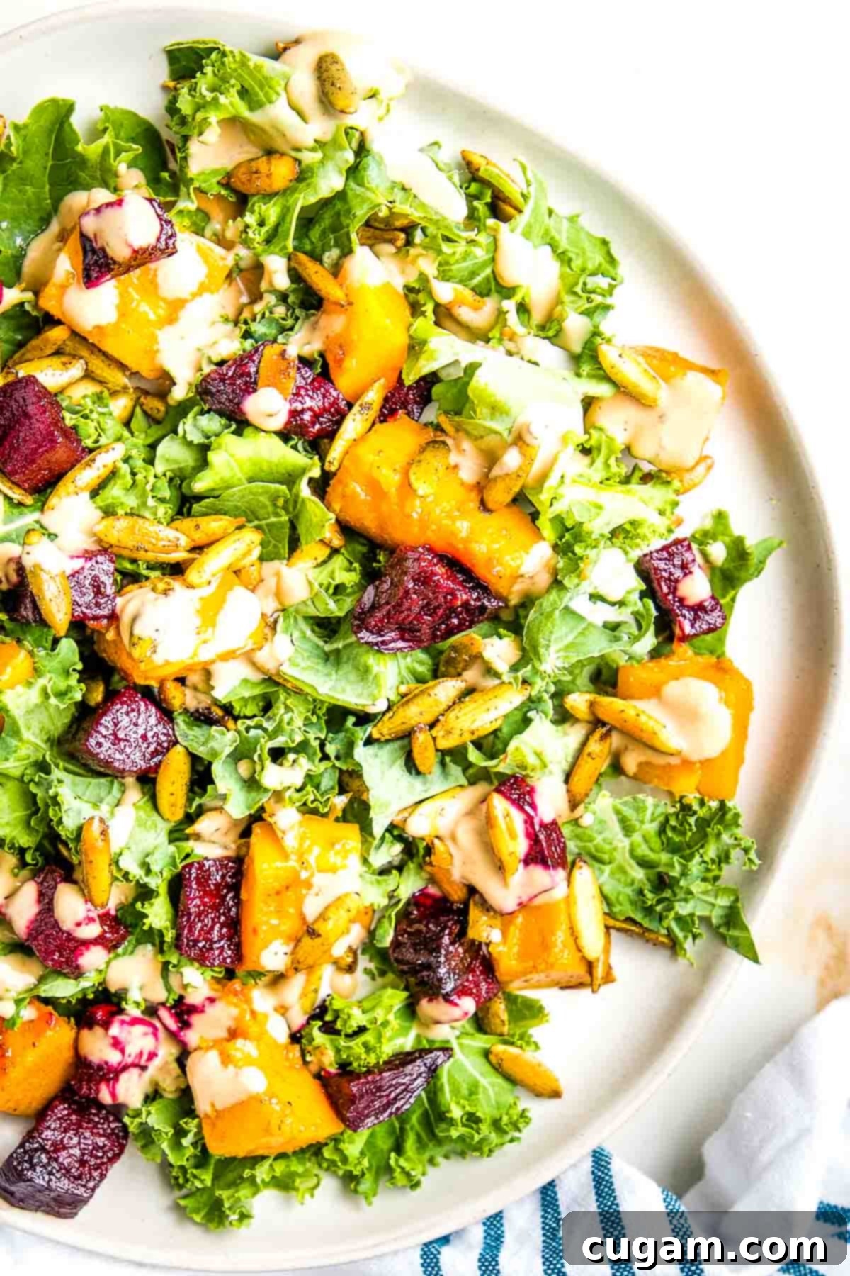 Roasted Squash cubes, diced beets and pumpkin seeds over massaged kale with a creamy dressing.