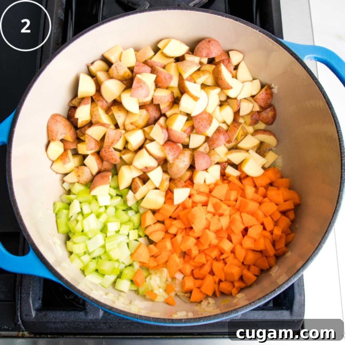 Step 2: Carrots, Celery, Potatoes in a dutch oven.