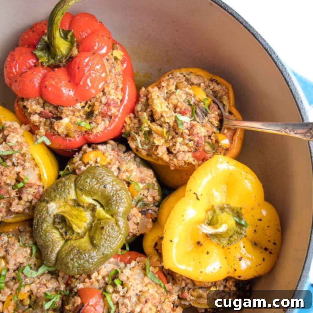 Vegan stuffed peppers of all colors, loaded with quinoa and lentils, neatly arranged in a dutch oven, fresh from the oven.