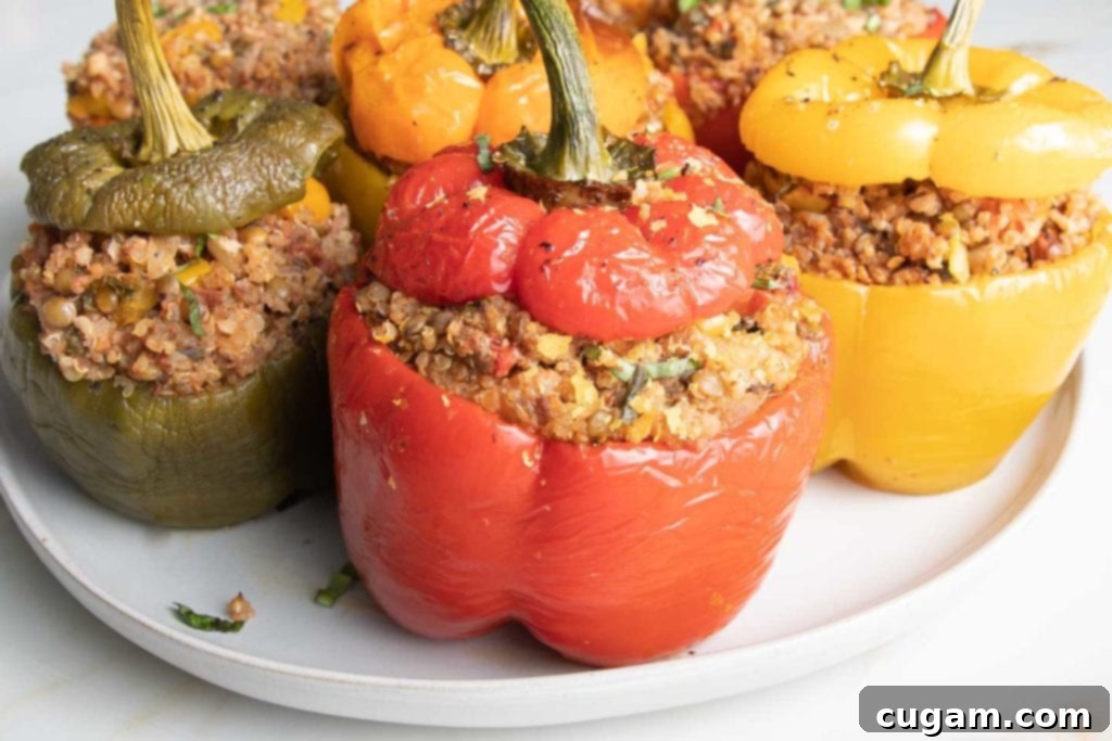 Close-up of vibrant Vegan Stuffed Peppers in green, yellow, orange and red, overflowing with a savory quinoa, lentil, and Italian spice filling.