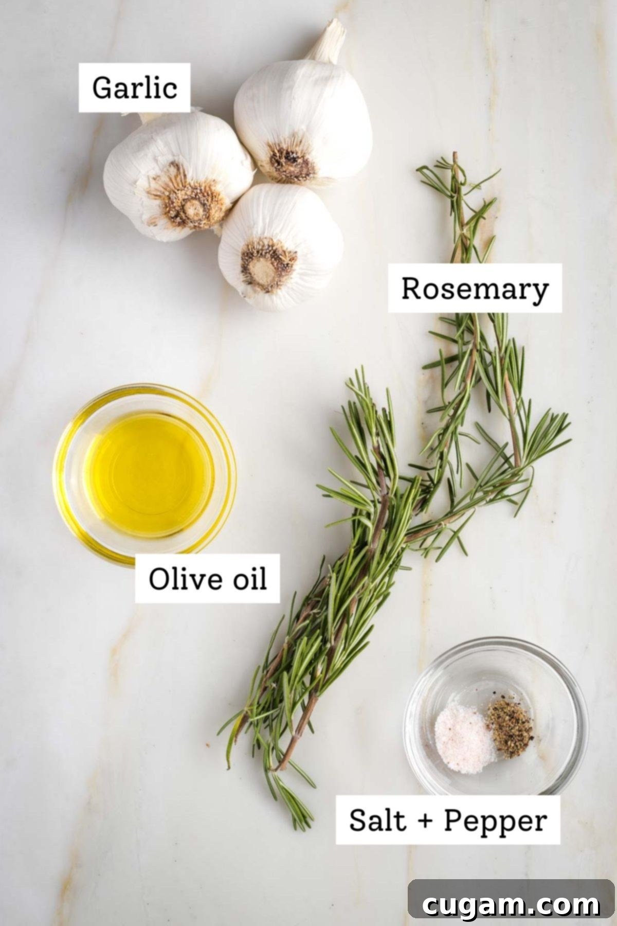 Labeled ingredients: garlic, rosemary, olive oil, salt and pepper.