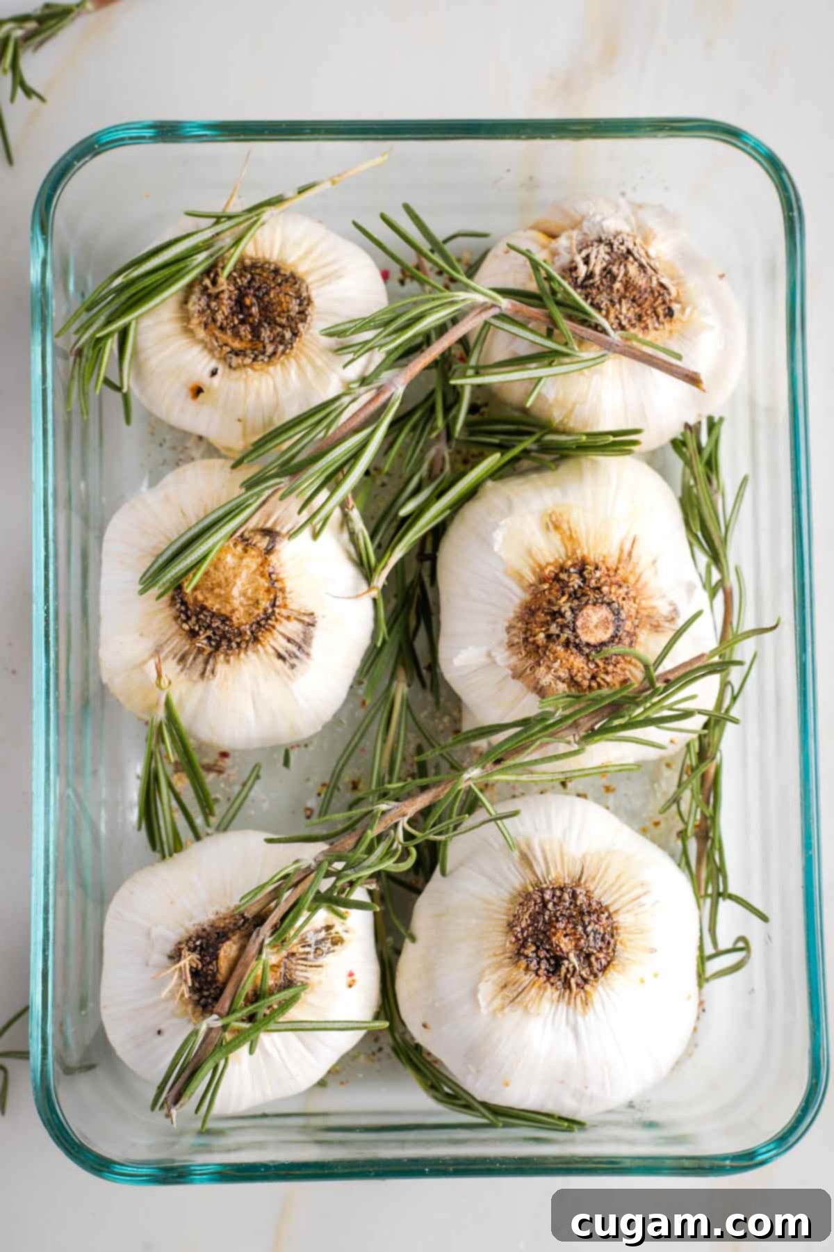6 whole heads of garlic in a baking dish with fresh rosemary on top. 