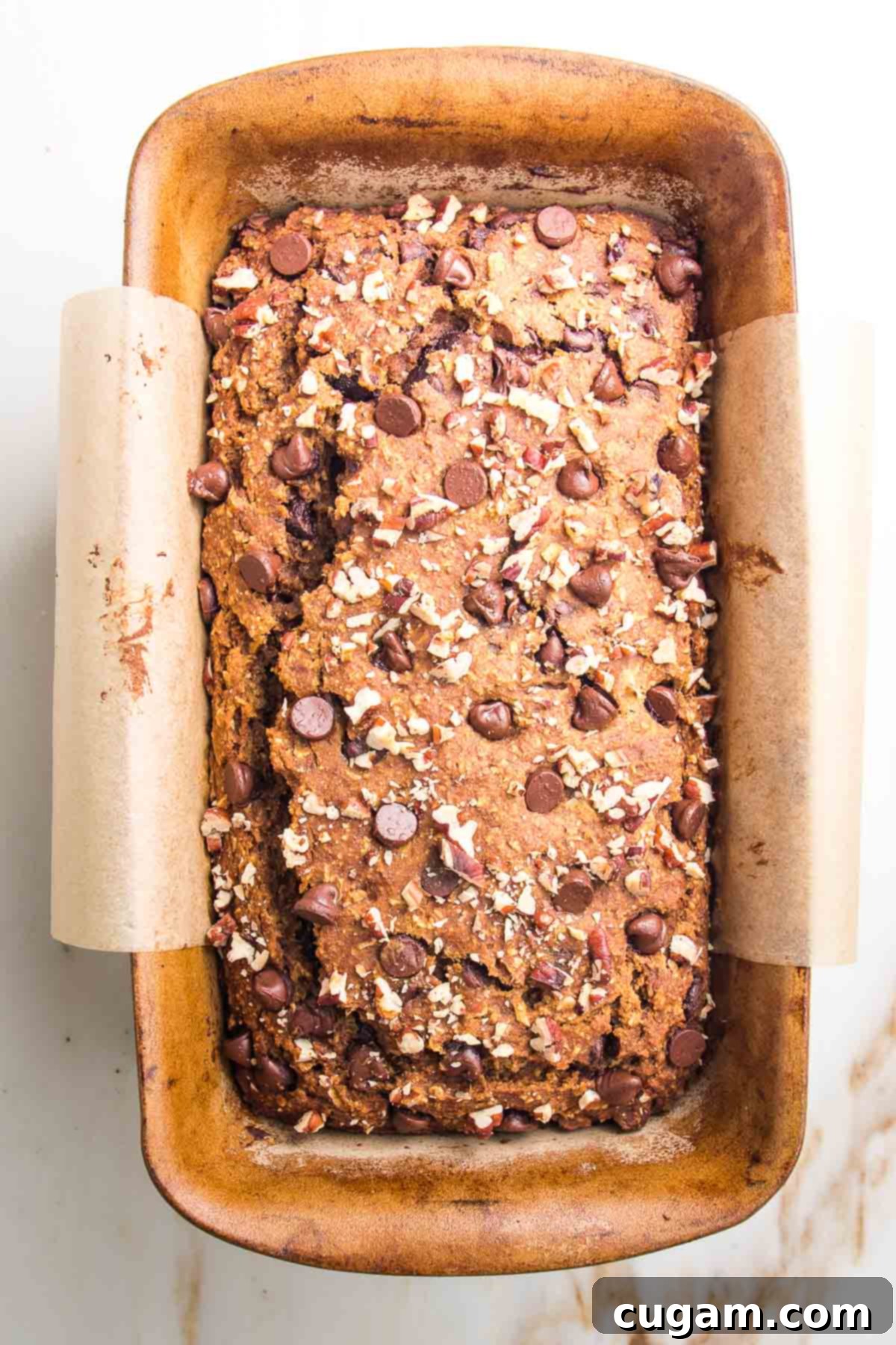 Pumpkin loaf with chocolate chips and pecans out of the oven, still in a loaf pan, lined with parchment paper