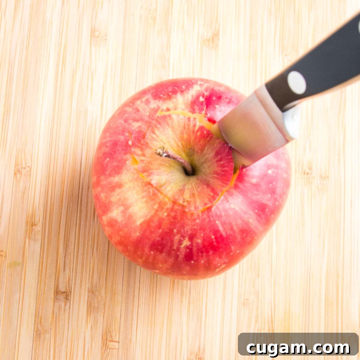 Close up of a honey crisp apple and a small paring knife inserted on the top for removing the core.
