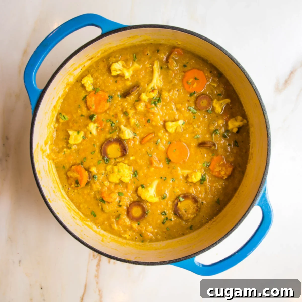 Blue dutch oven filled with some chunky, some creamy cauliflower red lentil soup with chunks of cauliflower and different colored carrots.