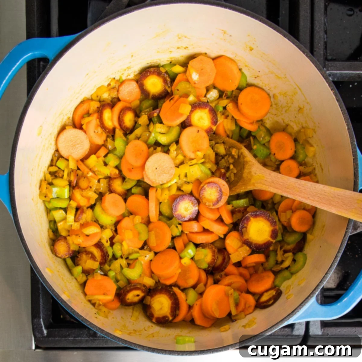 An assortment of colorful vegetables and spices cooking in a dutch oven. You can see orange and purple carrots, celery.